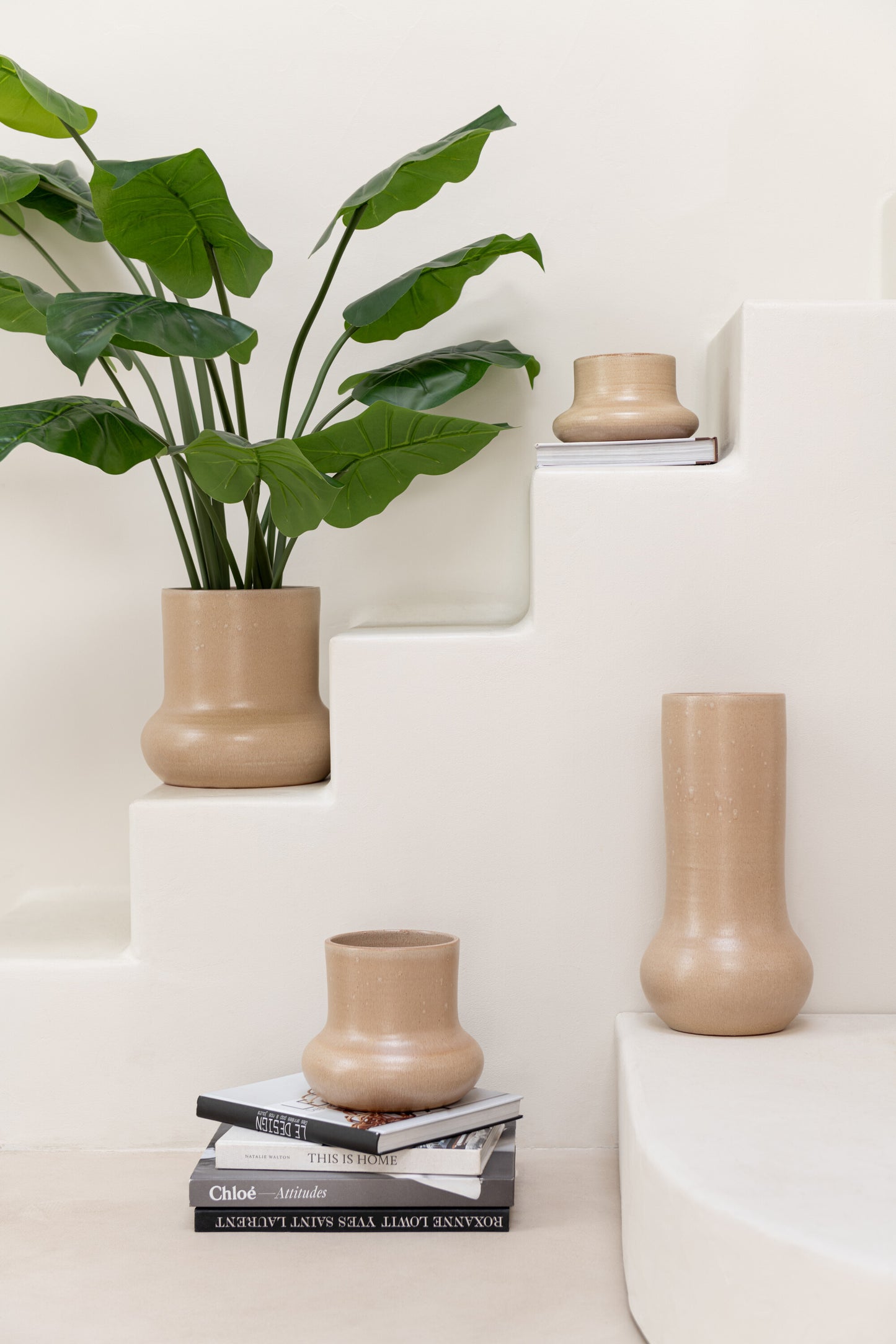 Pothos Plant In Pot Plastic Groen