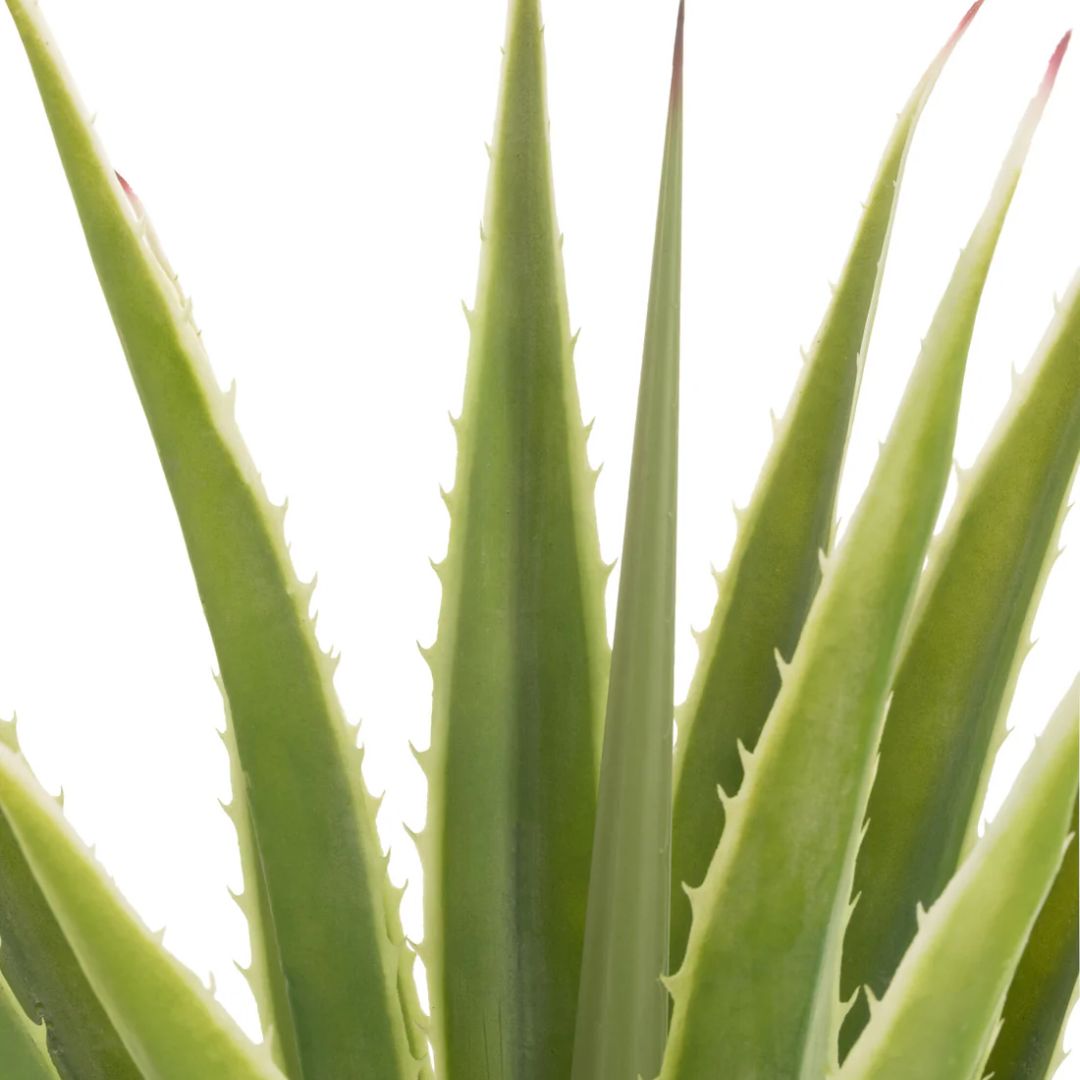 Agave Off-White Edge Pot Kunstmatig Groen