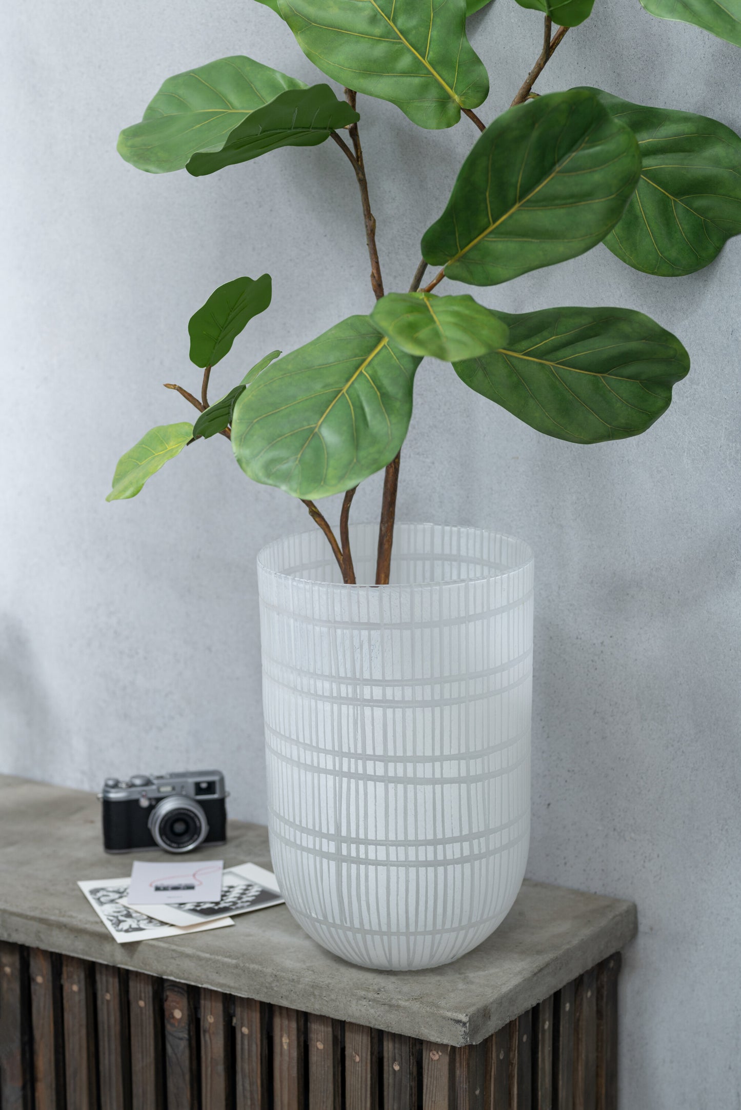 Vijgenboom Plastic Groen