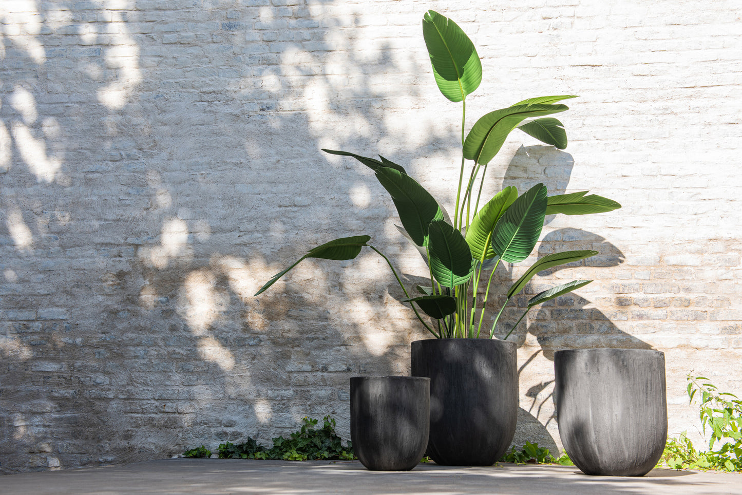 Strelitzia Plastic Groen Klein