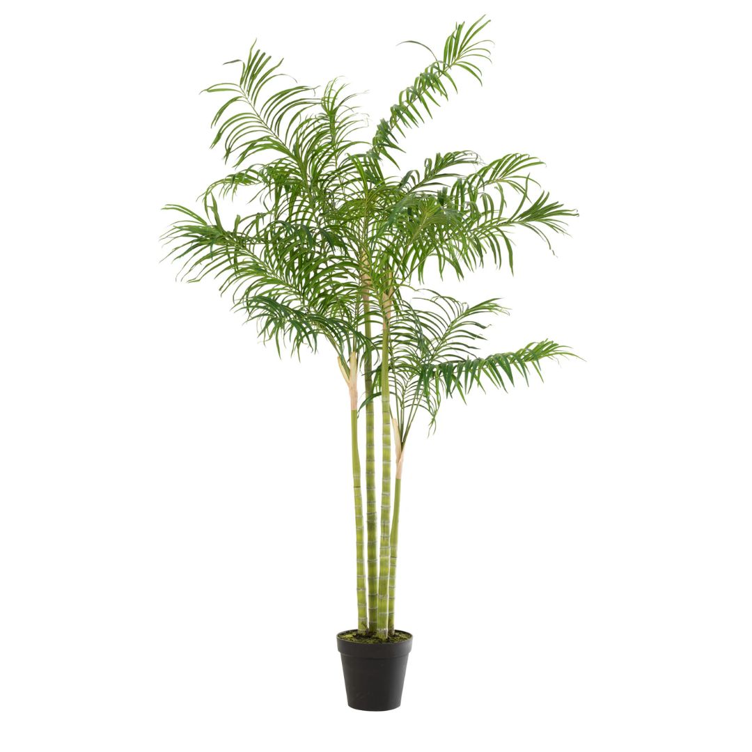 Bamboe palm in pot plastic groen/zwart groot