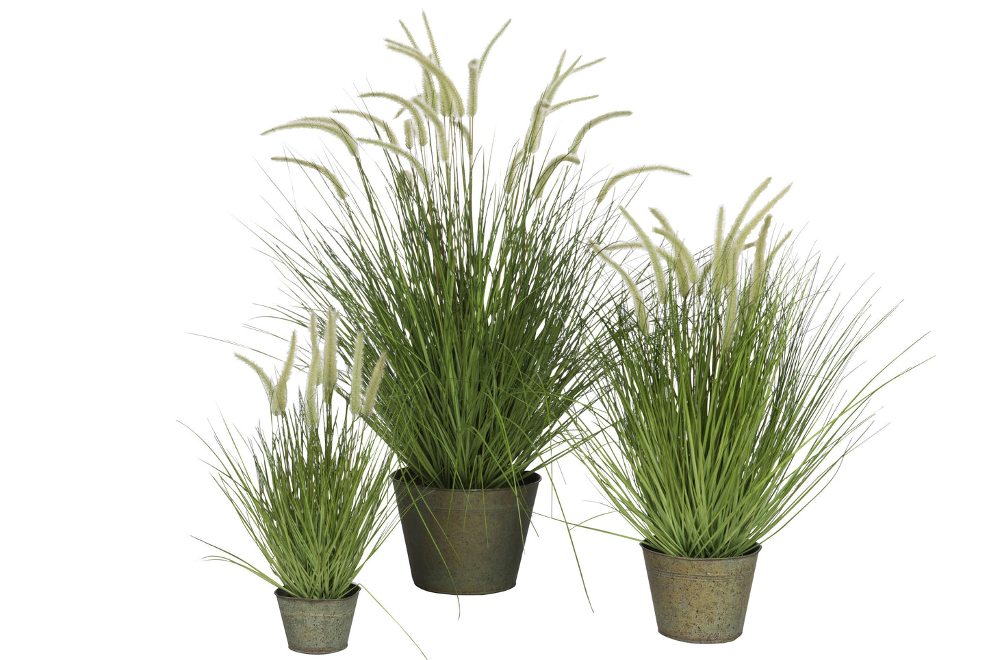 Grassen+Staarten In Pot Metaal Groen Plastic Groen Groot
