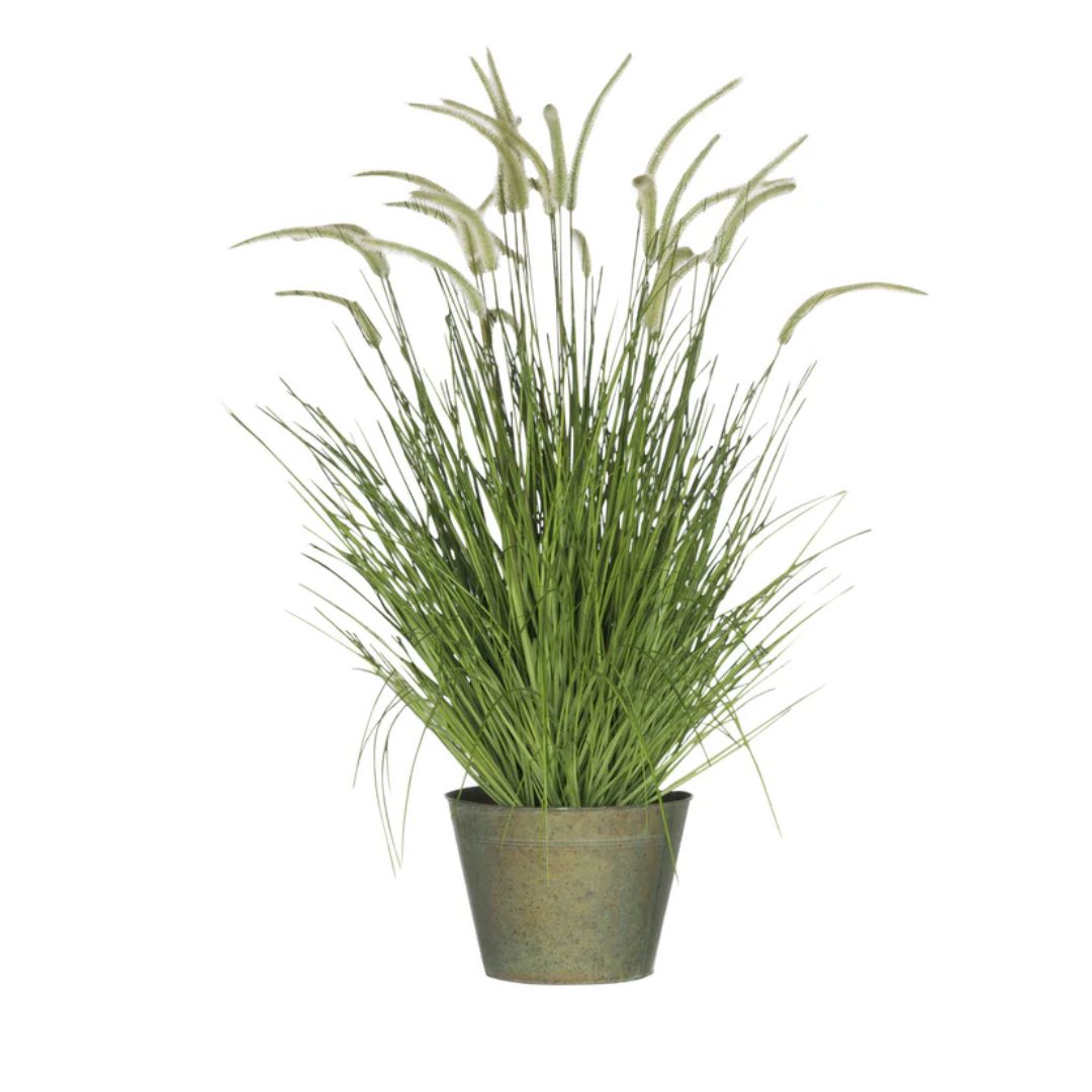 Grassen+Staarten In Pot Metaal Groen Plastic Groen Groot