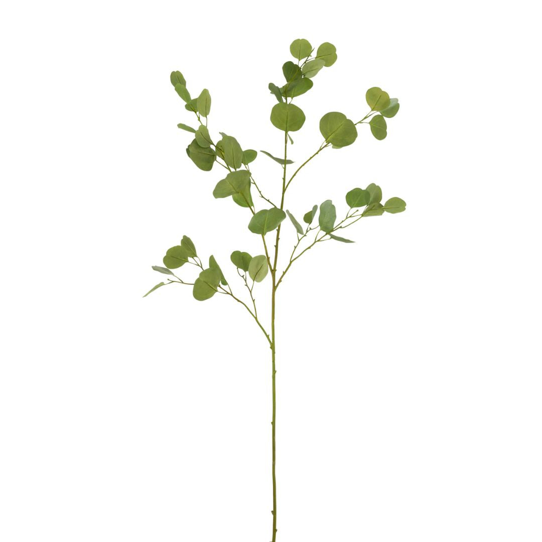 Eucalyptus tak Plastic Groen