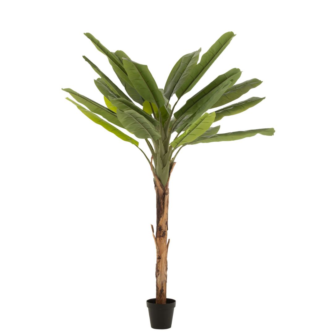Bananenboom Plastic Groen/Bruin