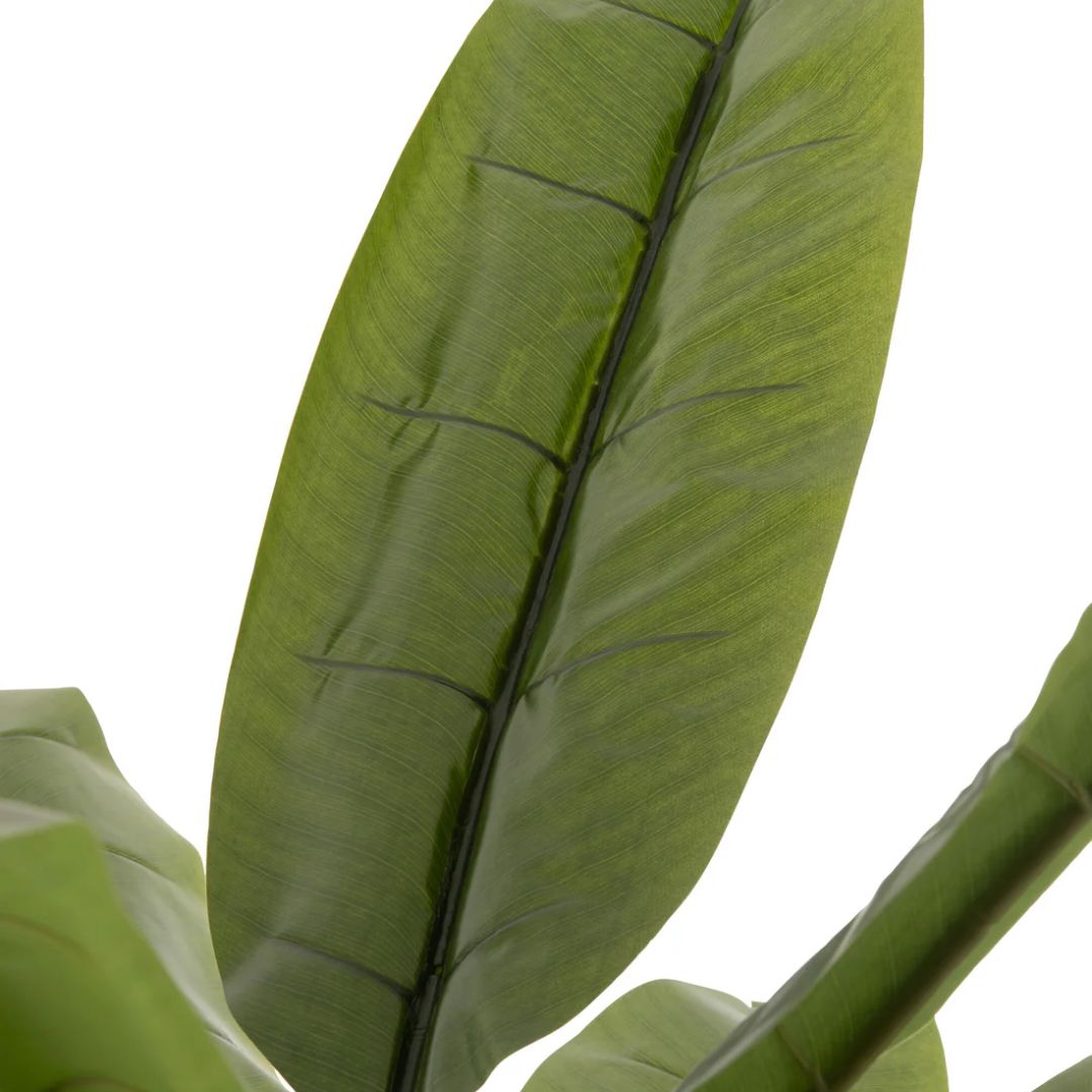 Bananenboom Plastic Groen/Bruin