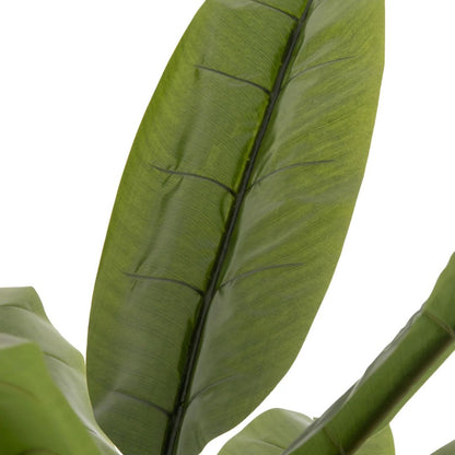 Bananenboom Plastic Groen/Bruin