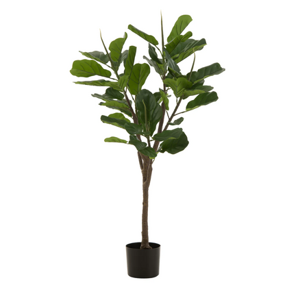 Vijgenboom Plastic Groen