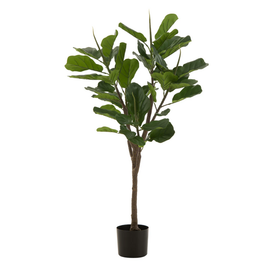 Vijgenboom Plastic Groen