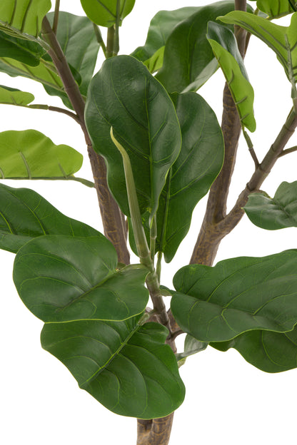 Vijgenboom Plastic Groen