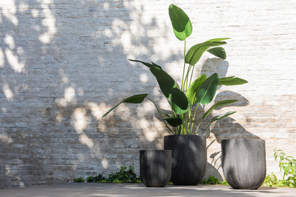 Strelitzia Plastic Groen Klein