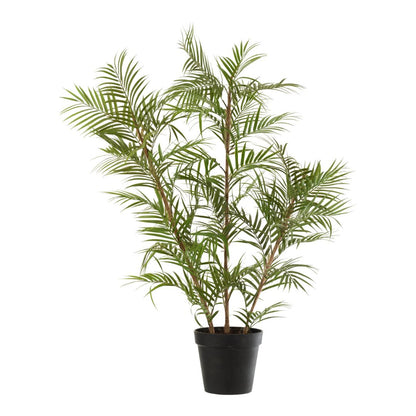 Chamaedorea in pot plastic groen/zwart groot