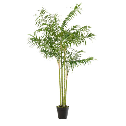 Bamboe palm in pot plastic groen/zwart groot