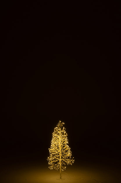 Boom Led Warm Wit Licht Frame ijzer Wit 80 cm H