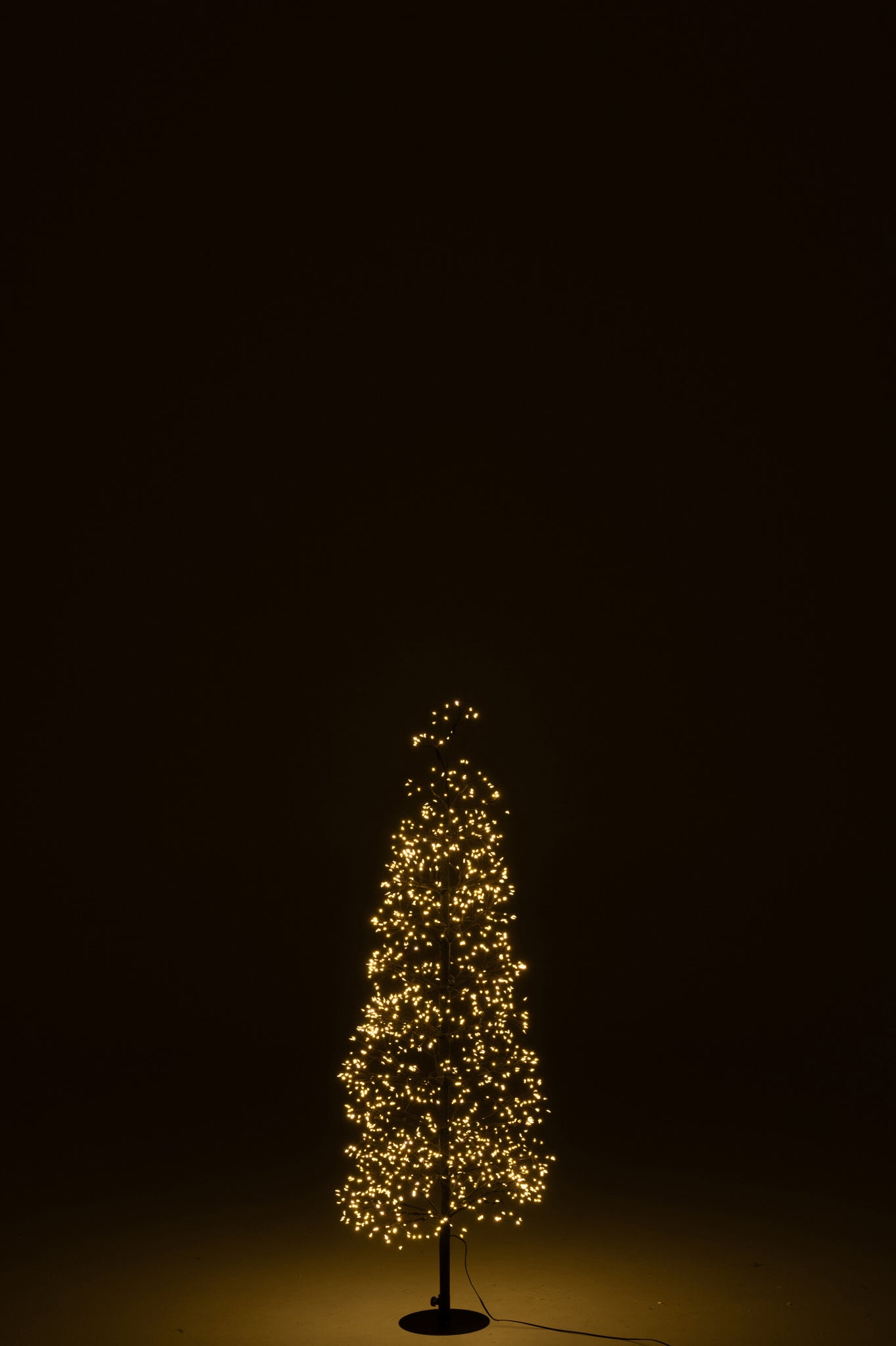 Boom Led Warm Wit Licht Frame IJzer Zwart 120 cm H