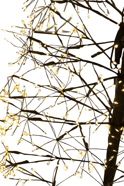 Boom Led Warm Wit Licht Frame IJzer Zwart 120 cm H