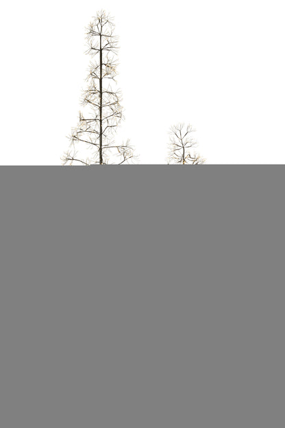 Boom 3000 Led Metaal Zwart 3 m H warm wit licht