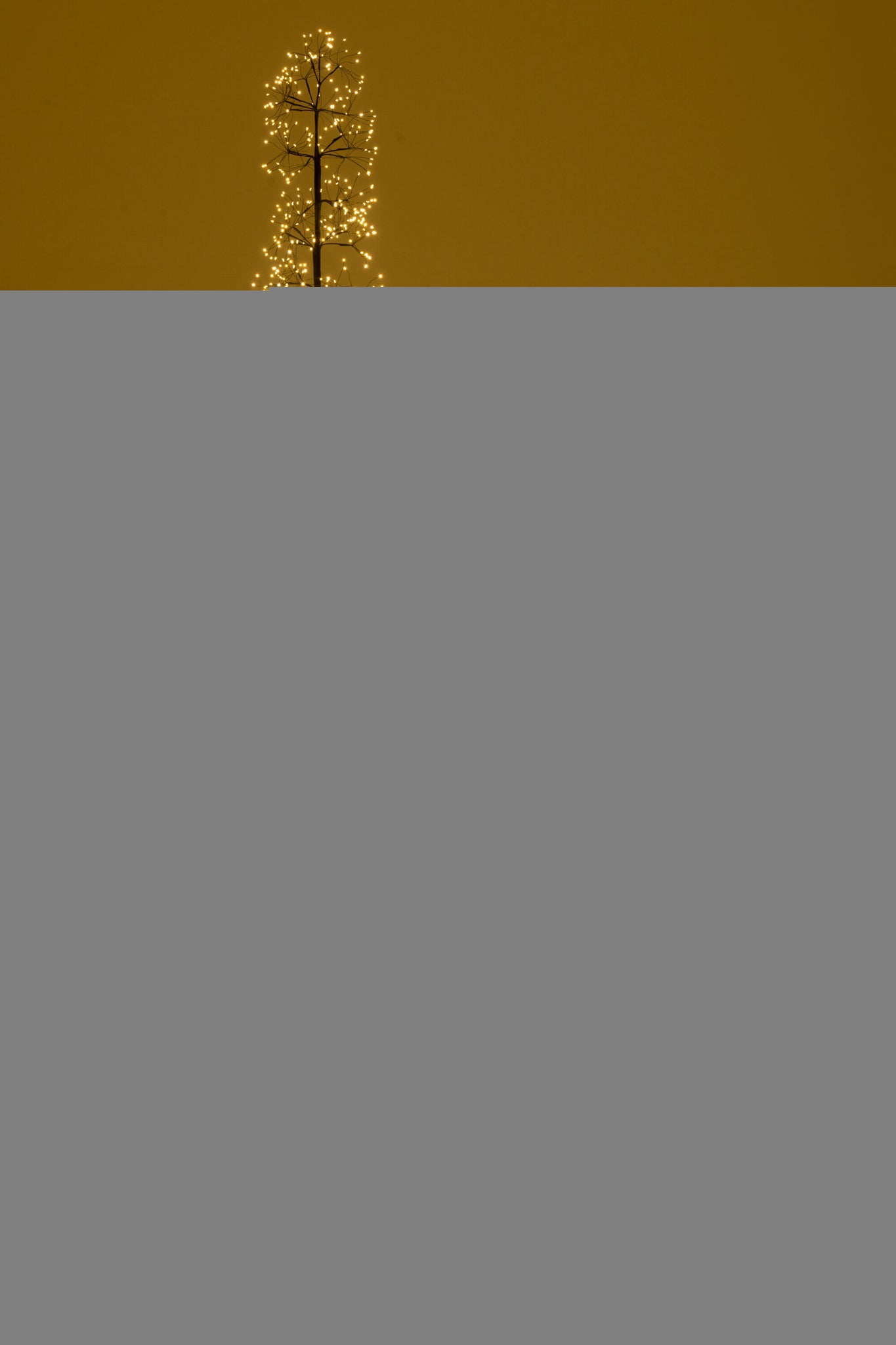 Boom 3000 Led Metaal Zwart 3 m H warm wit licht