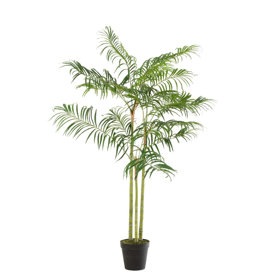 Bamboe palm in pot plastic groen/zwart klein