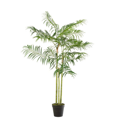 Bamboe palm in pot plastic groen/zwart klein